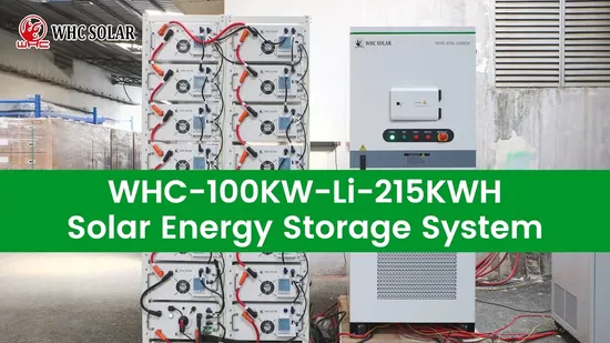 West Africa Hot Sale ESS Container System 100KW 215KWh Commercial & Industrial Solar Energy Storage Battery Cabinet 